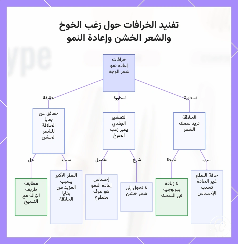 تفنيد الخرافات حول زغب الخوخ والشعر الخشن وإعادة النمو