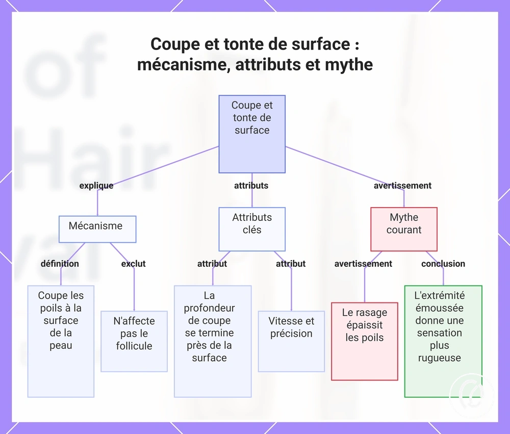 Coupe et tonte de surface : mécanisme, attributs et mythe