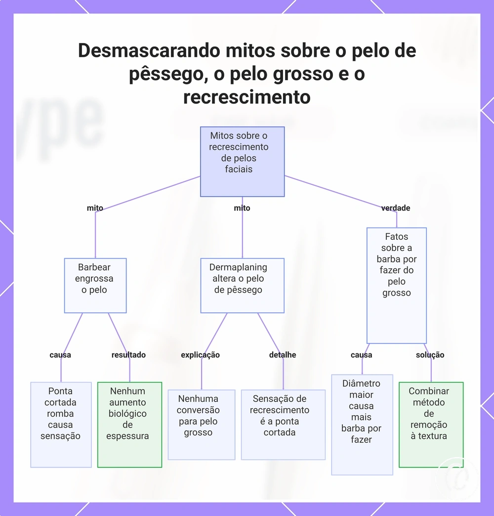Desmascarando mitos sobre o pelo de pêssego, o pelo grosso e o recrescimento