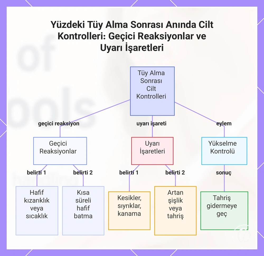 Yüzdeki Tüy Alma Sonrası Anında Cilt Kontrolleri: Geçici Reaksiyonlar ve Uyarı İşaretleri