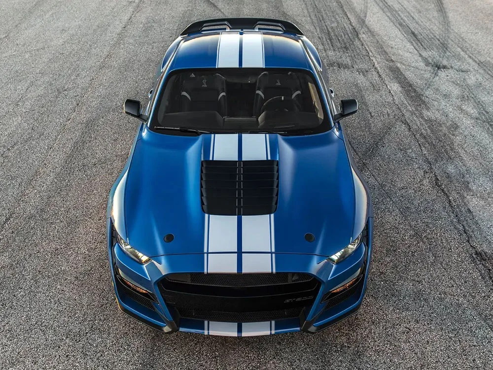 autocollant mustang