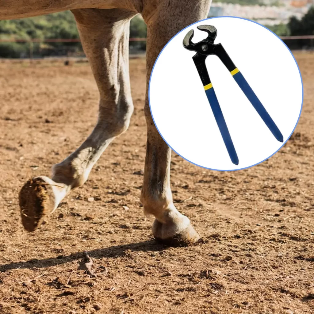 Tondeuse Chevaux Heiniger