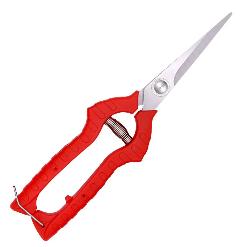 Outils de jardinage verger