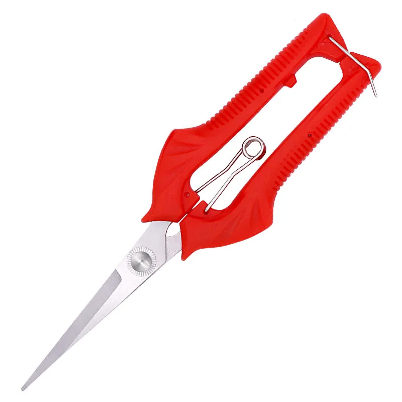 Outils de jardinage verger