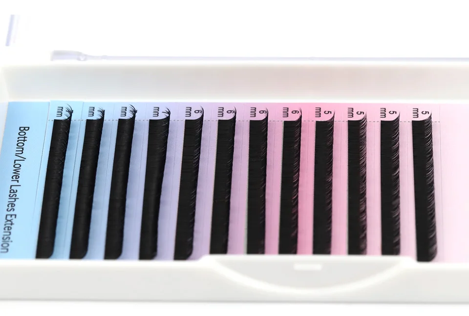 Cils inférieurs