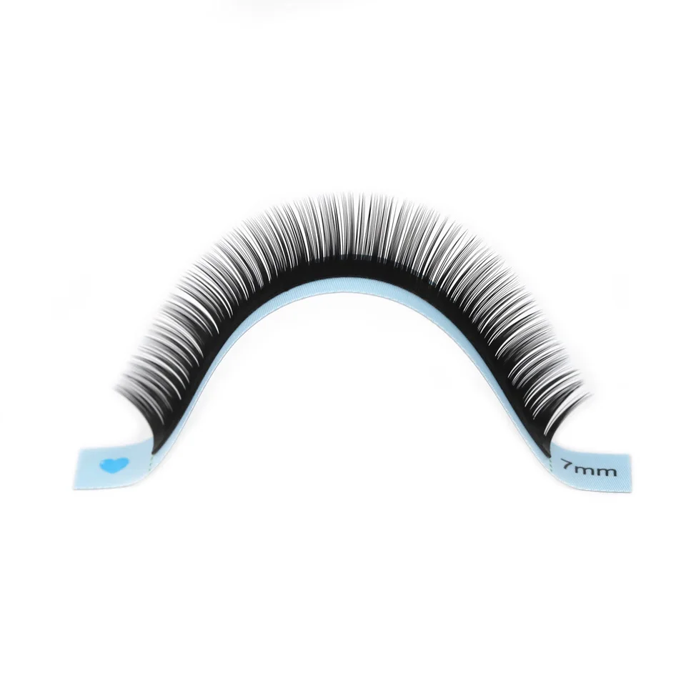 Cils inférieurs