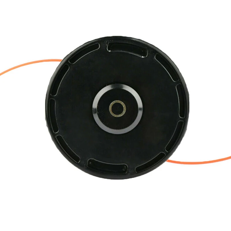 Image6