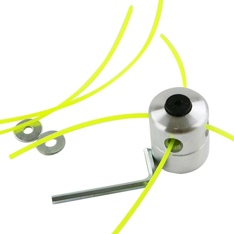 Image 8