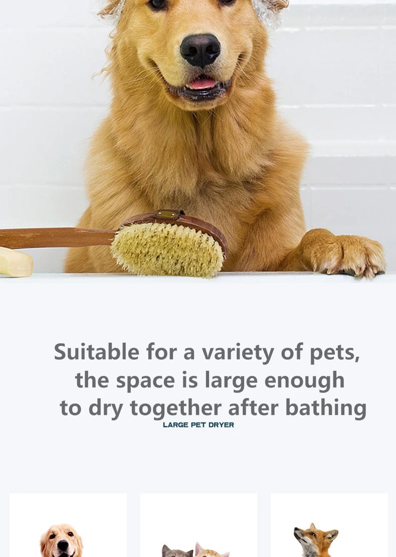 3000w After Bathing Large Pet Hair Blower Dryer Automatic Water Blowing Machine Cat Dog Pet Grooming Dryer Box