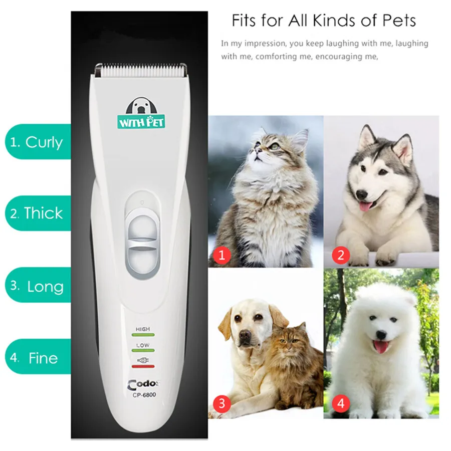 Tondeuse électrique aste pour animaux de compagnie